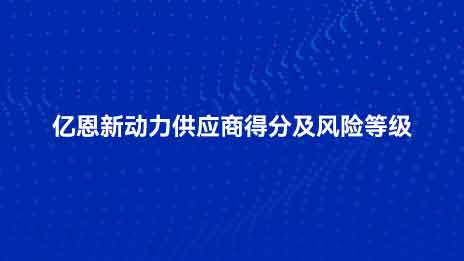 亿恩新动力供应商得分及风险等级